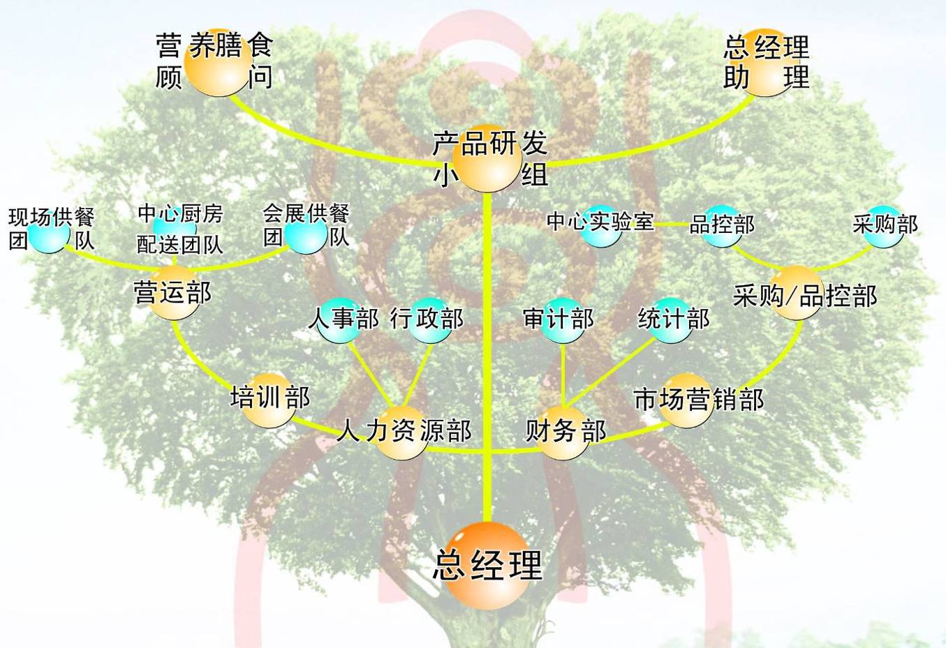 组织机构